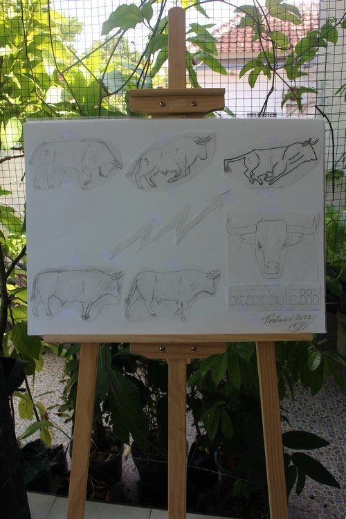 bitcoinbulls-888-original-artwork-concept-design-750